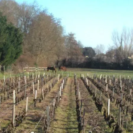 Au Coeur Du Medoc Lägenhet Cussac-Fort-Medoc